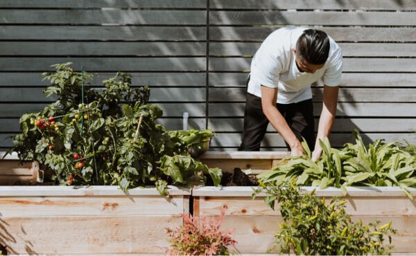 ภาพขนาดย่อ